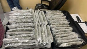 Apresan siete canadienses con 509 paquetes de marihuana