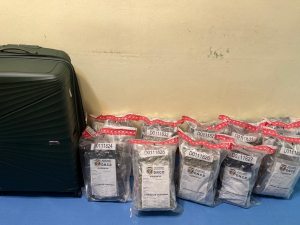 Incautan 32 paquetes de marihuana  y apresan un extranjero