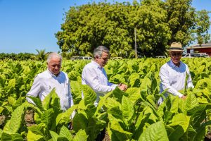 Director INTABACO afirma tabaco dominicano llega a 148 países