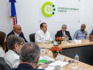 CES se reunió hoy por primera vez para tratar el tema haitiano
