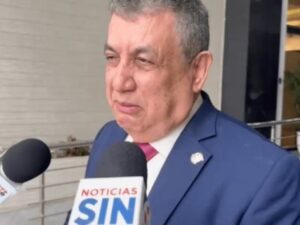 El PLD mantiene el plan para definir a su candidato