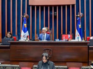 Plataformas en ley de libertad expresión serán revisadas en el Senado