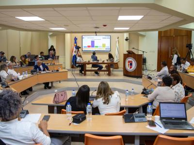 ¿Cuáles organizaciones salen del Consejo Económico y Social (CES)?