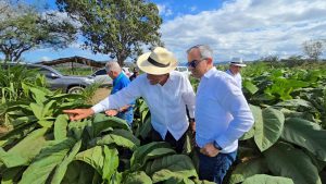Tabaco dominicano es el segundo producto más exportado del país luego de insumos médicos