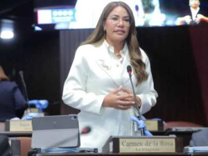 Diputada Carmen de la Rosa propone crear Colegio de Farmacéuticos