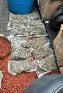 DNCD y MP ocupan 66 paquetes de marihuana ocultos en toallas sanitarias y comida para perros