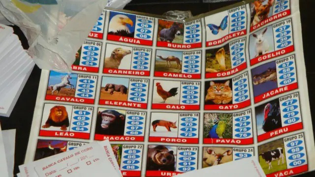 La lotería del crimen: así opera el 'jogo do bicho' en Brasil