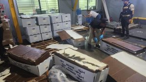 DNCD CONFISCA EN AEROPUERTO CIBAO 58 KILOGRAMOS DE COCAÍNA CAMUFLADOS EN CAJAS DE PESCADO