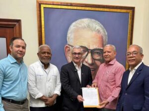 Gonzalo Castillo valida comité de base del PLD